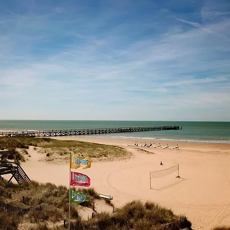 Neuf 1 Chambre, 4 Pers, 350m Jean De Monts, Calme, Foret, Commerces A Proximite - Fr-1-323-268