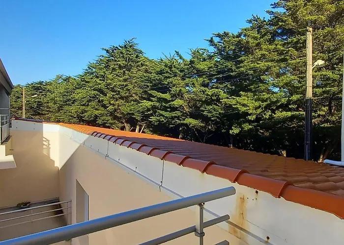 Neuf 1 Chambre, 4 Pers, 350m Jean De Monts, Calme, Forêt, Commerces à Proximité - Fr-1-323-268